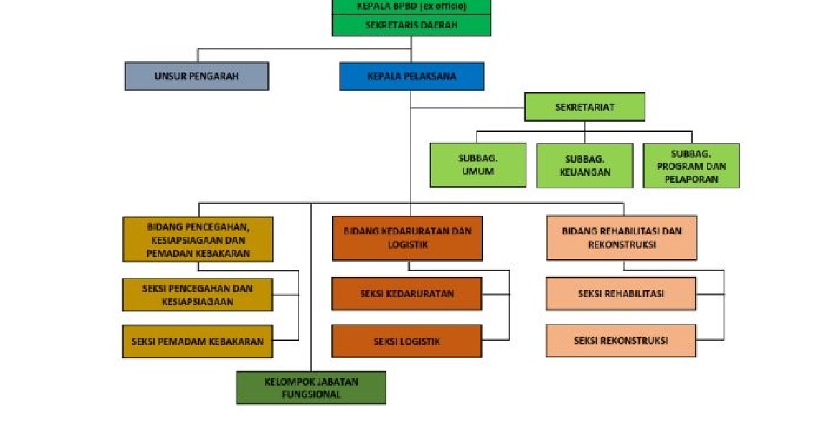 Struktur Organisai Bpbd1